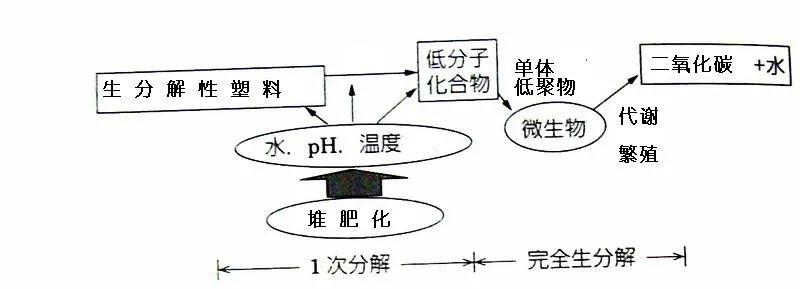 可生物降解環(huán)保塑料可以回收再利用嗎？(圖3)