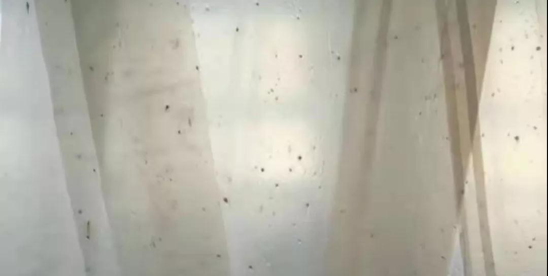 PBAT膜袋有黑點是什么原因？(圖1)