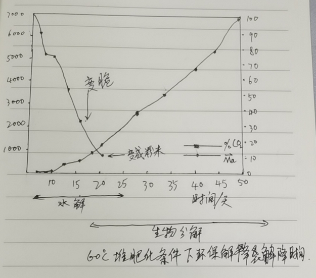 環(huán)保降解袋的分解原理|降解袋是怎么降解的？(圖1)